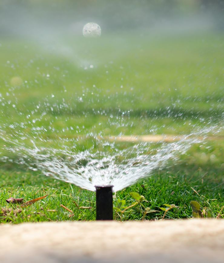 Watering Schedule NewsFlash