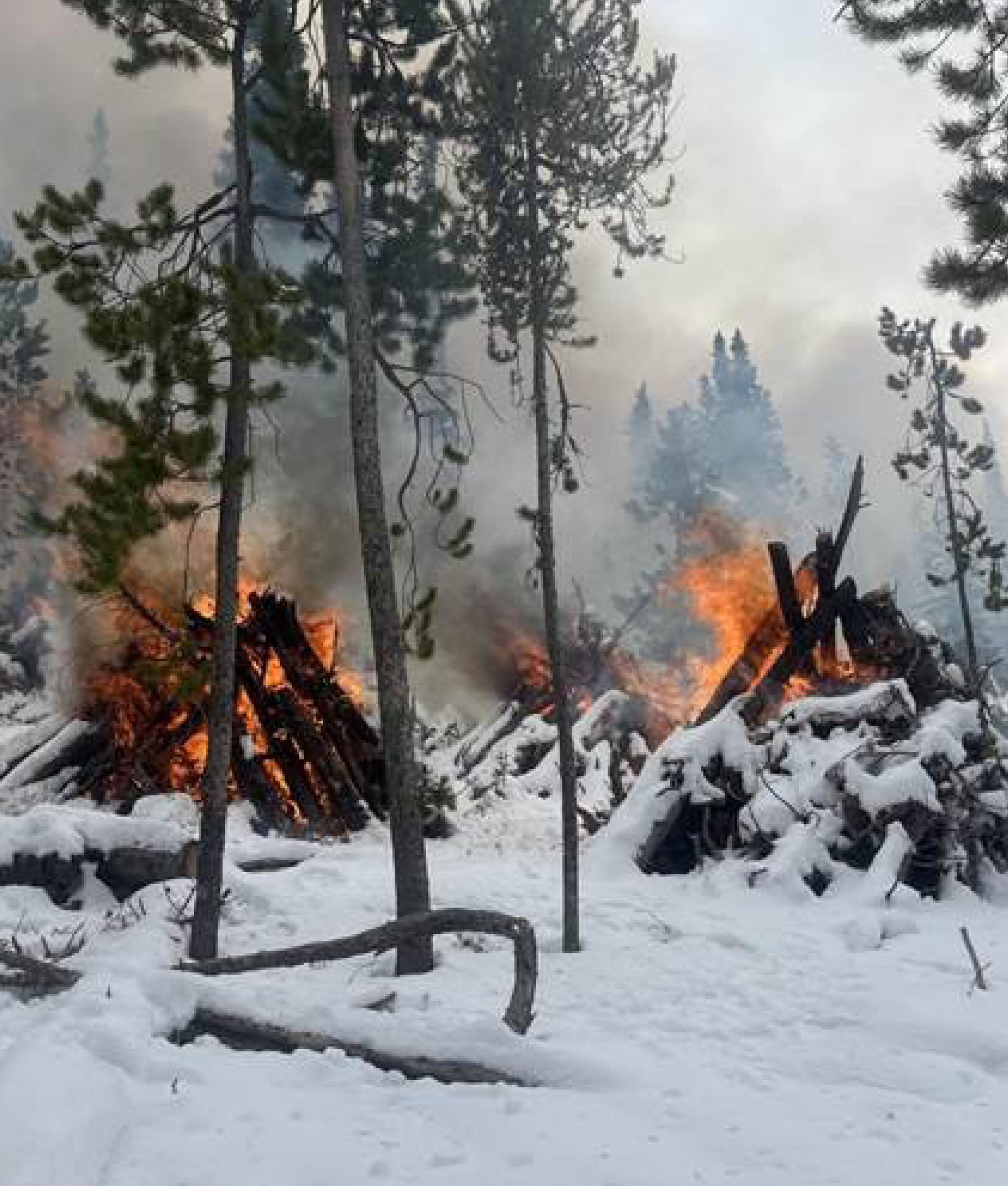 Slash piles burning on Emerald Mountain during a winter snow storm.